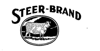 STEER-BRAND logo