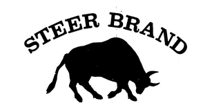 STEER BRAND logo