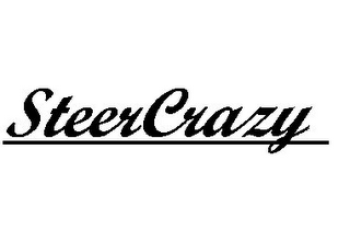 STEERCRAZY logo