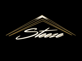 STEEZE logo