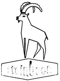 STEINBOCK logo