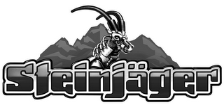 STEINJAGER logo