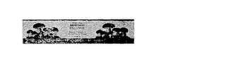 STEINPILZE logo