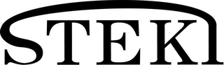 STEKI logo