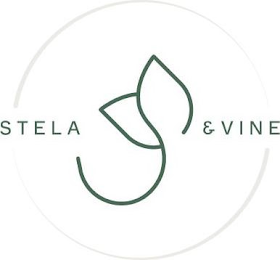 STELA & VINE logo