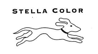 STELLA COLOR logo