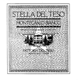 STELLA DEL TESO MONTECARLO BIANCO