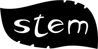 STEM logo