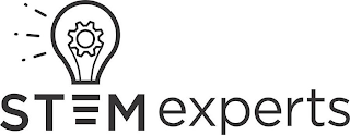 STEM EXPERTS logo