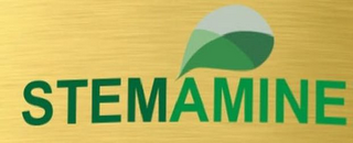 STEMAMINE logo