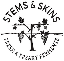 STEMS & SKINS FRESH & FREAKY FERMENTS logo