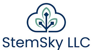 STEMSKY LLC logo