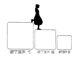 STEP 1 STEP 2 STEP 3 logo