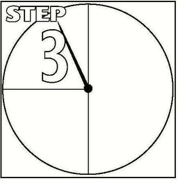 STEP 3 logo