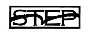 STEP logo