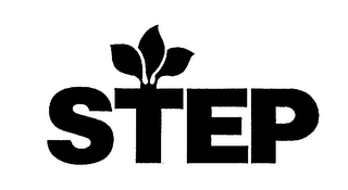 STEP logo