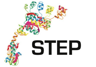 STEP logo