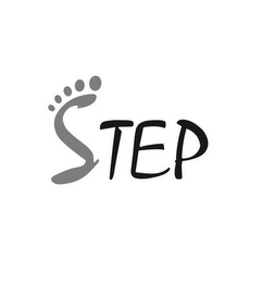 STEP logo