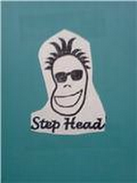 STEP HEAD logo
