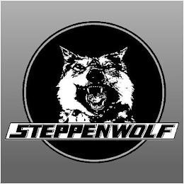 STEPPENWOLF logo