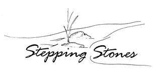 STEPPING STONES logo
