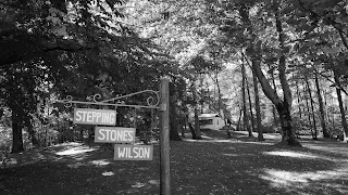 STEPPING STONES WILSON logo