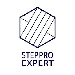 STEPPRO EXPERT logo