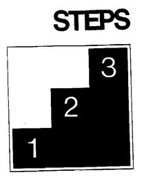 STEPS 1 2 3 logo