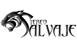 STEREO SALVAJE logo