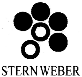 STERN WEBER logo