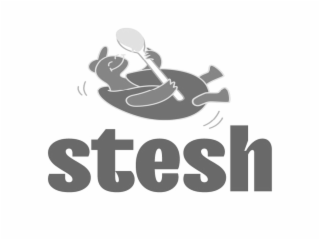 STESH logo