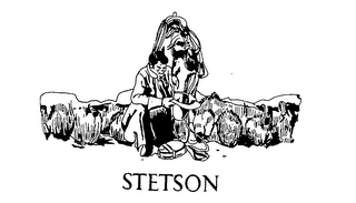 STETSON logo
