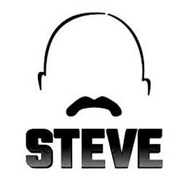 STEVE logo