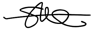 STEVE logo