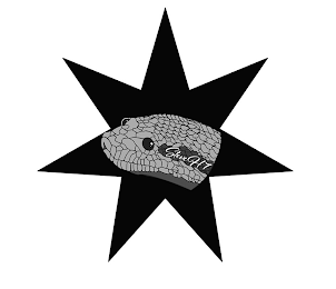 STEVE H7 logo