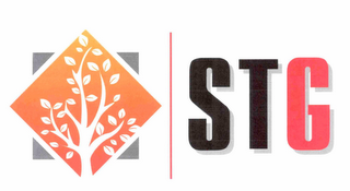 STG logo