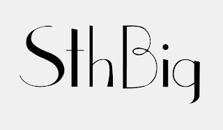 STHBIG logo