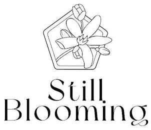 STILL BLOOMING logo