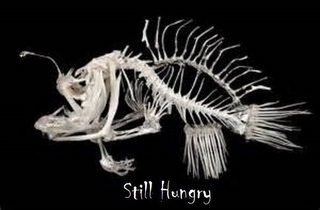 STILL HUNGRY logo