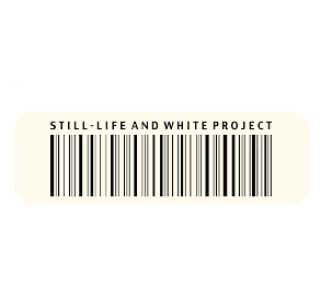 STILL-LIFE AND WHITE PROJECT logo