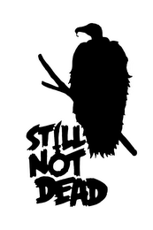 STILL NOT DEAD logo
