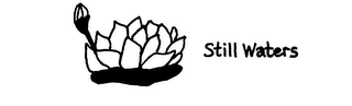 STILL WATERS logo