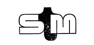 STM logo
