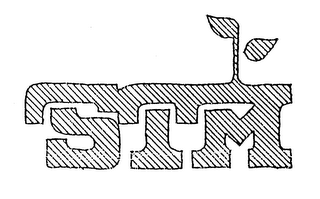 STM logo