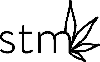 STM logo
