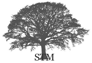 STM logo