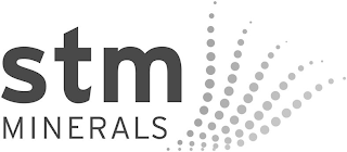 STM MINERALS logo