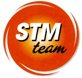 STM TEAM logo