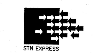 STN EXPRESS logo