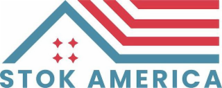 STOK AMERICA logo